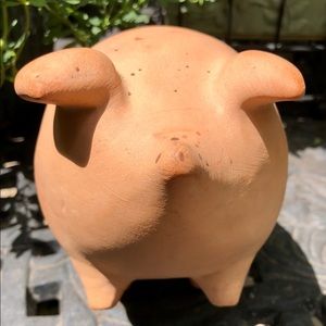 Piggy Planter